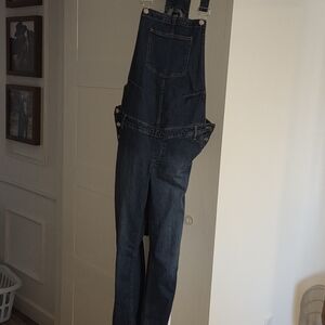 GAP Maternity Blue Denim Overalls